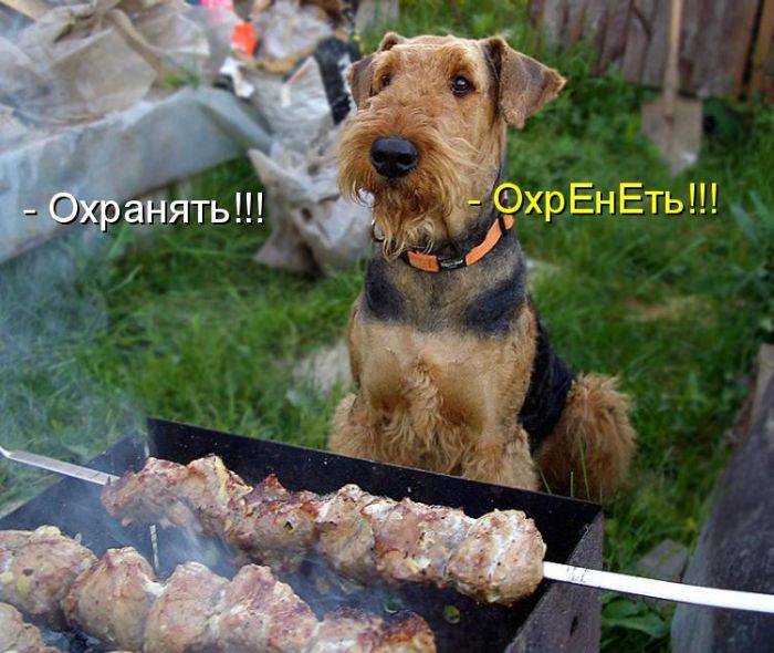 Позитивные картинки с надписями
