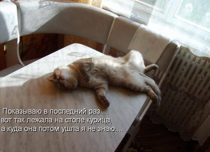 Зоопозитив в картинках с надписями