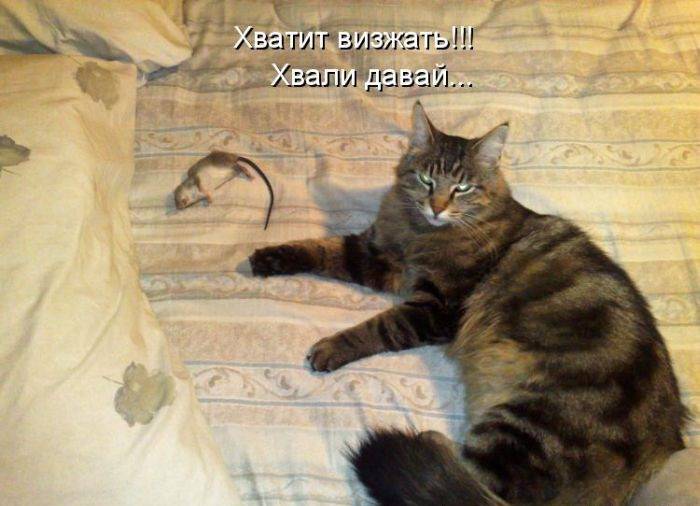 Забавности с надписями