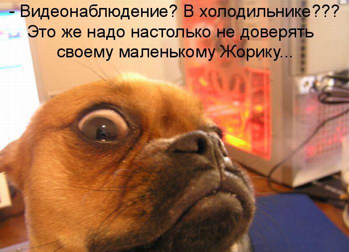 Позитив в картинках с надписями