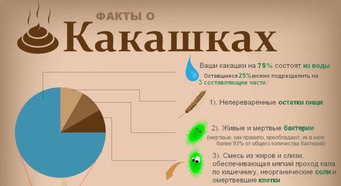 Интересные факты о какашках