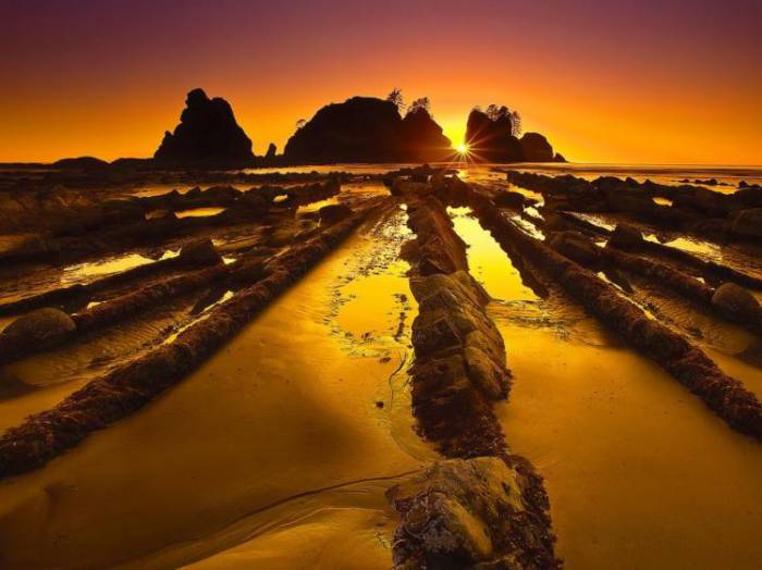 Фотографии National Geographic (51 фото)