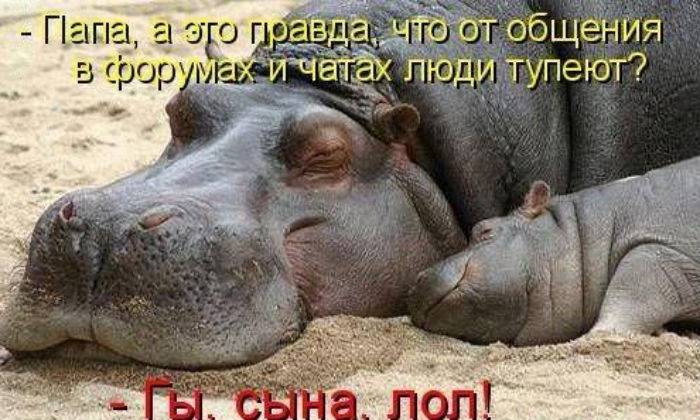 Приколы в картинках с надписями