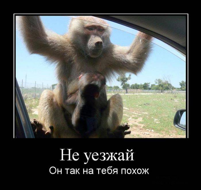 Классная демотивация