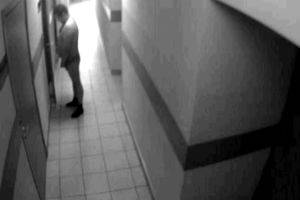 Писающий полицейский Ломоносов