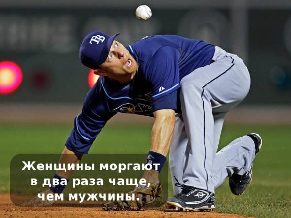 Факты, из которых женщины и мужчины сделают разные выводы (10 фото)