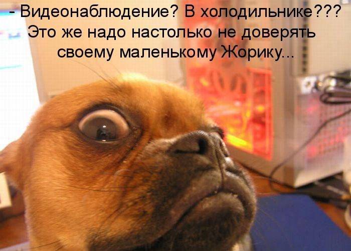 Забавности с надписями