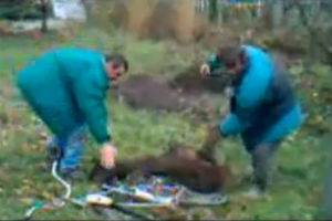 Нетрезвые грузчики