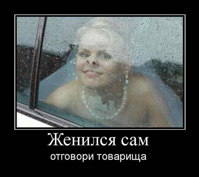 Классные демотиваторы (20 фото)
