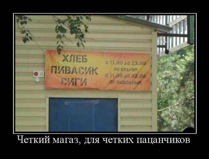 Заряд юмора в демотиваторах