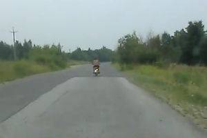 Чуть не уснул за рулём мопеда