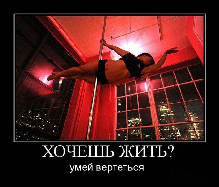 Ежедневная подборка демотиваторов
