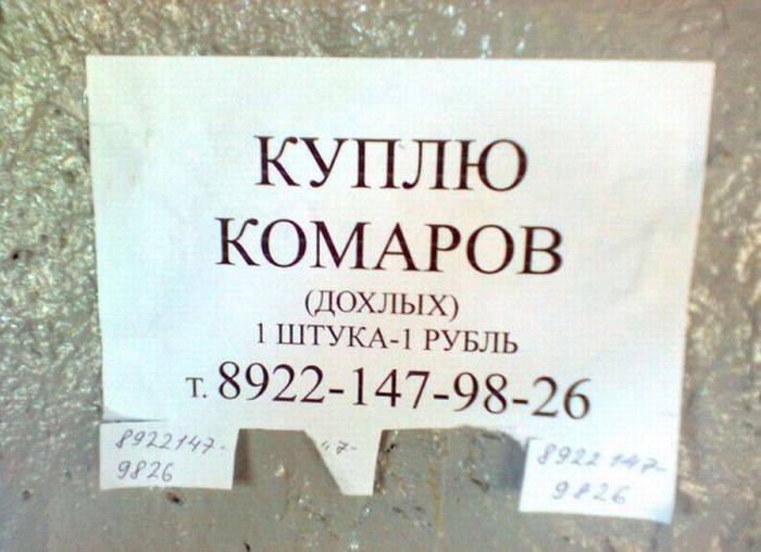Подборка маразмов
