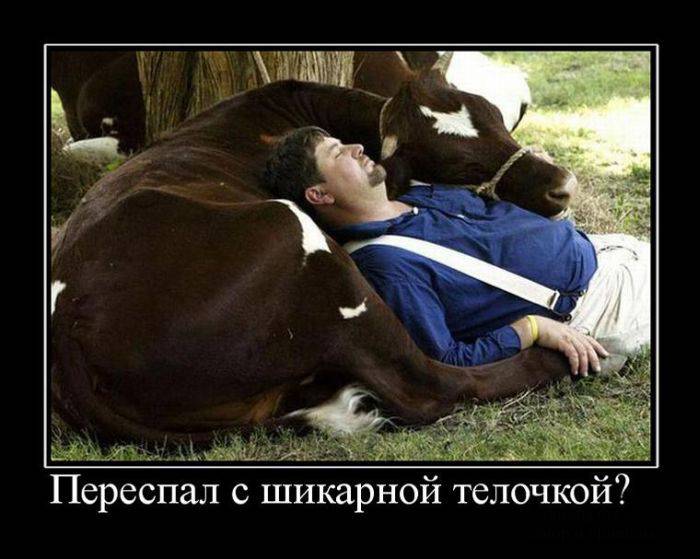 Классные демотиваторы (33 фото)