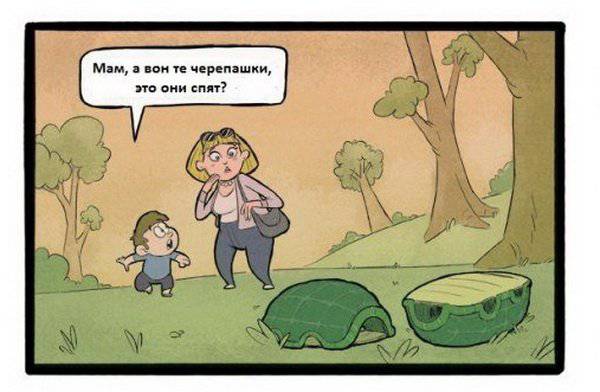 В мире животных