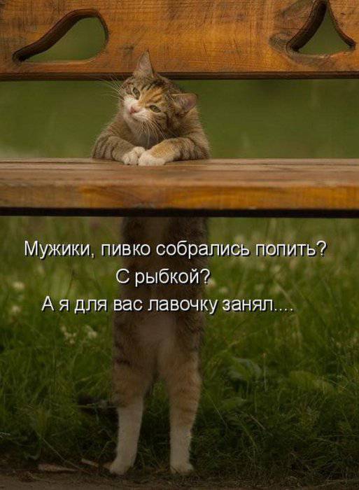 Весёлые картинки с надписями