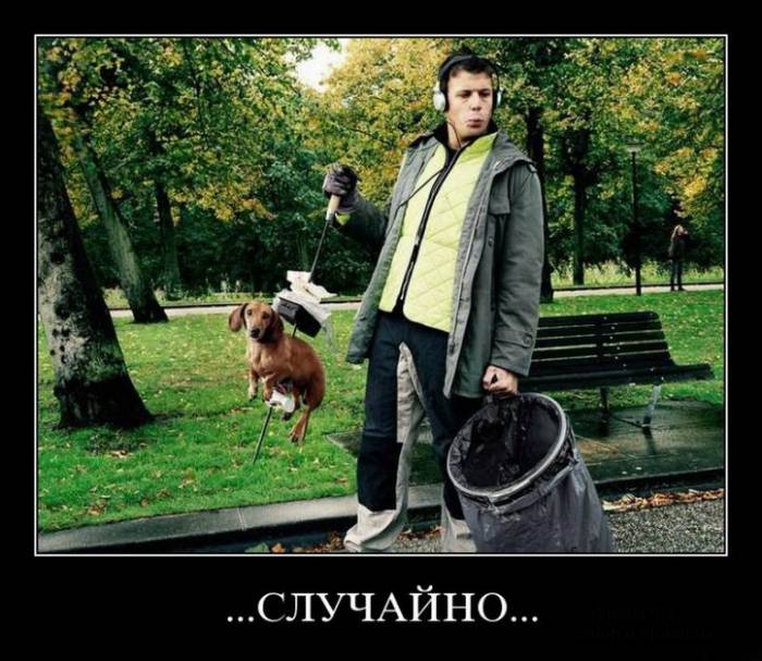 Заряд позитива в демотиваторах