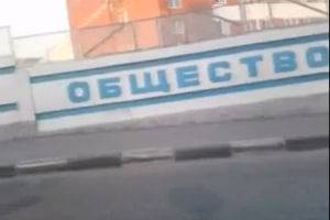 Чип и Дейл спешат на помощь