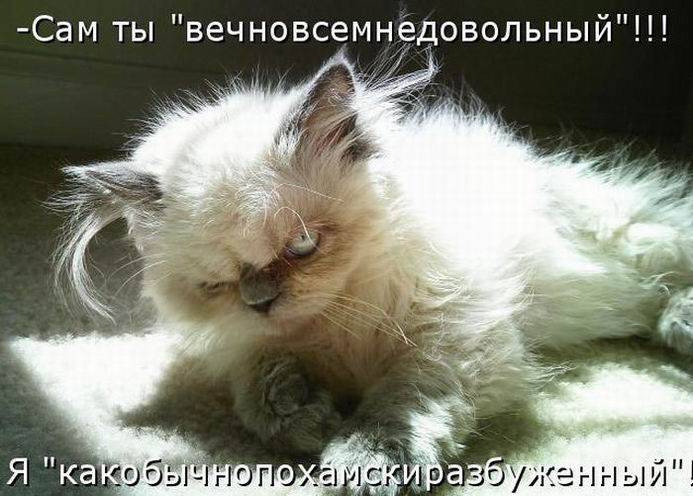 Пятничные картинки с забавными надписями