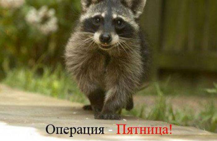 Операция Пятница
