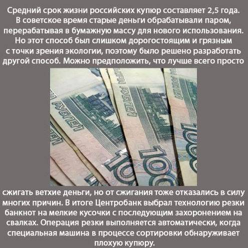 Интересные факты в картинках