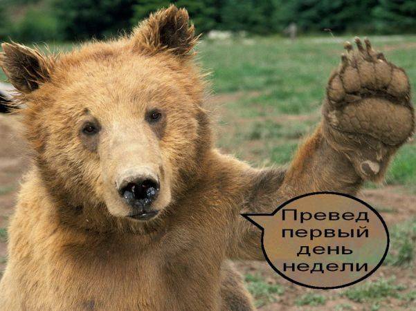 Понедельник - день тяжёлый
