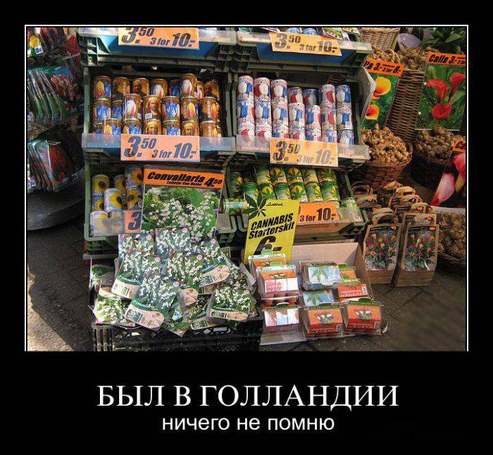 Заряд позитива в демотиваторах