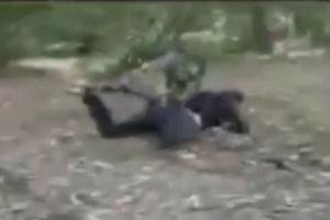 Подборка падений девушек