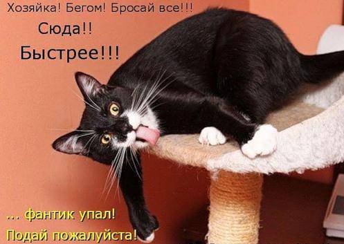 Картинки с забавными надписями