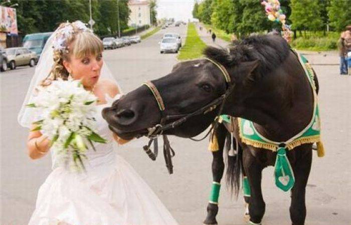 Прикольные фото