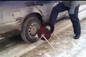 Курьёзы смешные и не очень