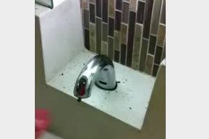 Прикольный дозатор для мыла