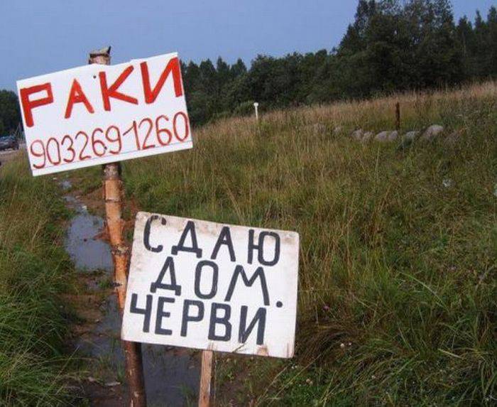 Маразмы из жизни (28 фото)