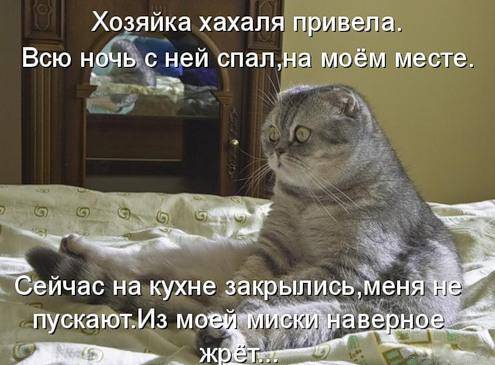 Картинки с забавными надписями