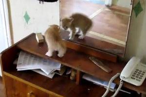 Увидел себя в зеркале