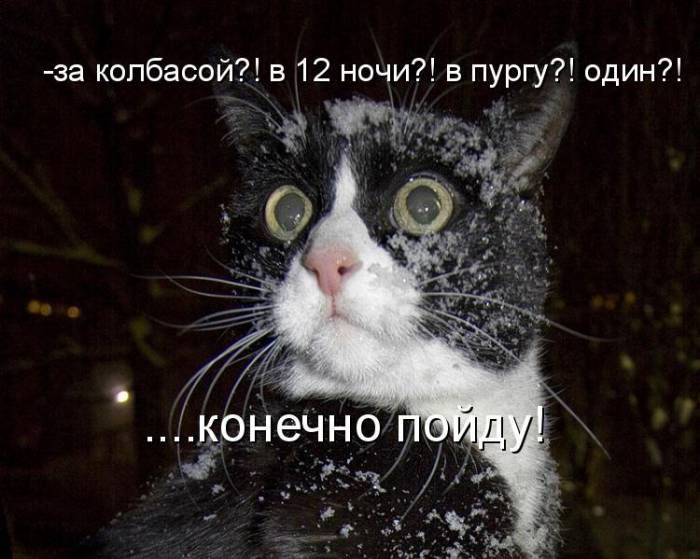 Картинки с забавными надписями