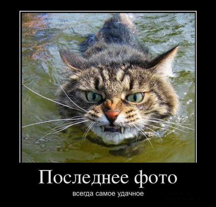 Демотивируемся!