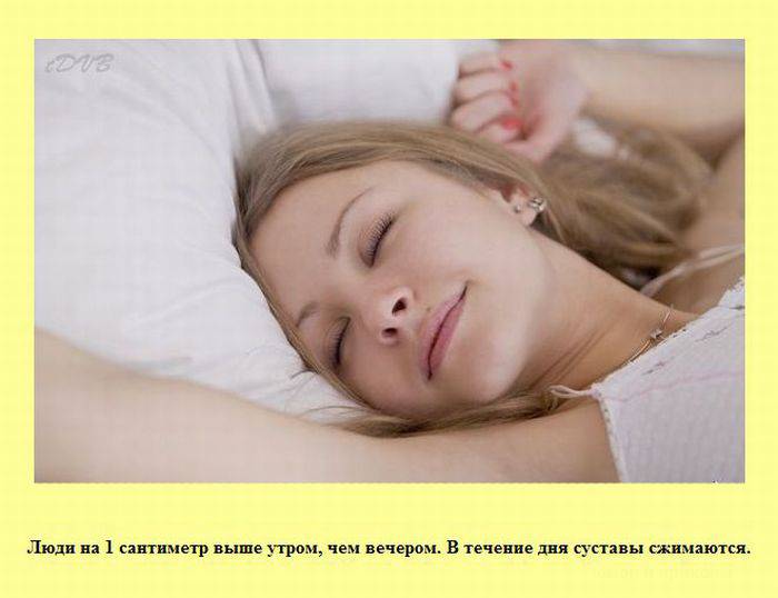 Интересные факты в картинках (30 картинок)