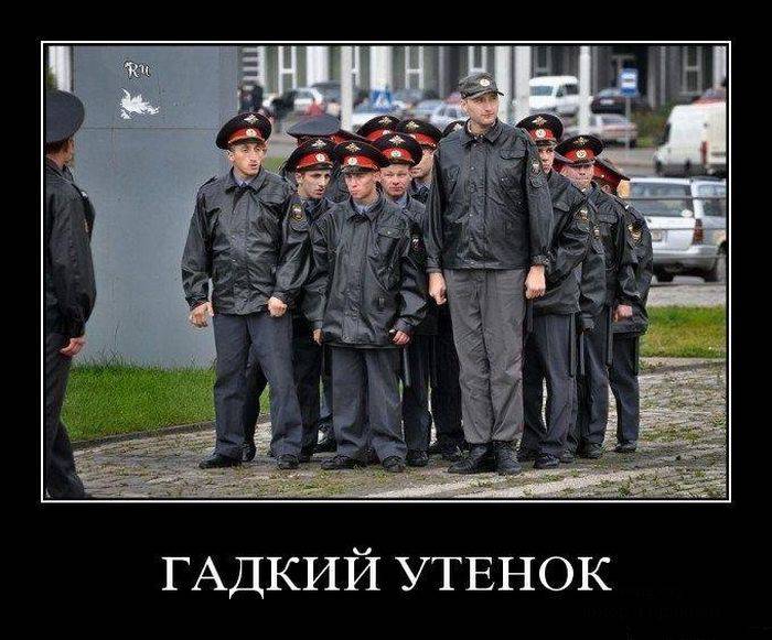 Жизненные демотиваторы (30 фото)