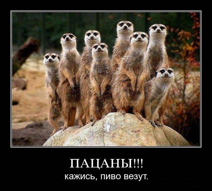 Демотивируемся! (28 фото)