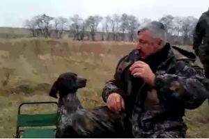 Настоящая охотничья собака