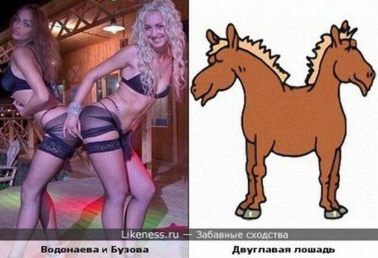 Забавные сходства (29 фото)