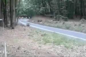 Подборка аварий на ралли