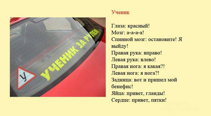 Шуточная классификация водителей