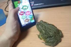 Лягушка геймер