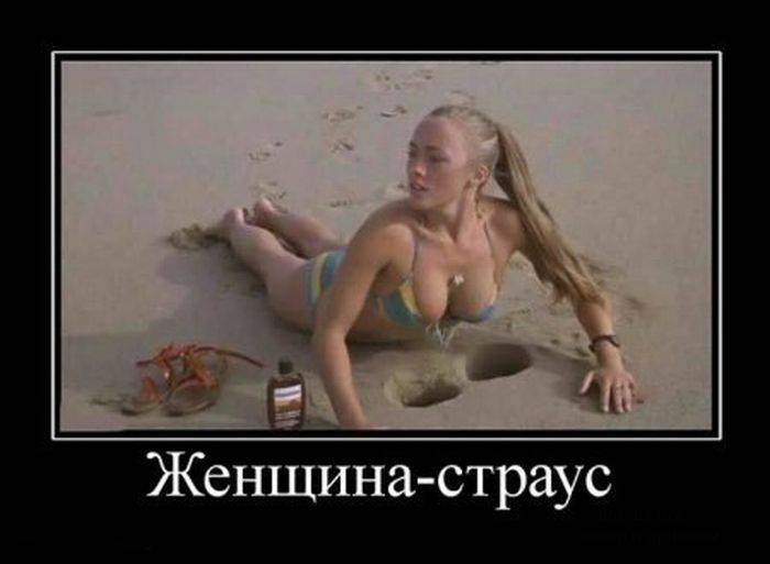 Демотиваторы (30 фото)