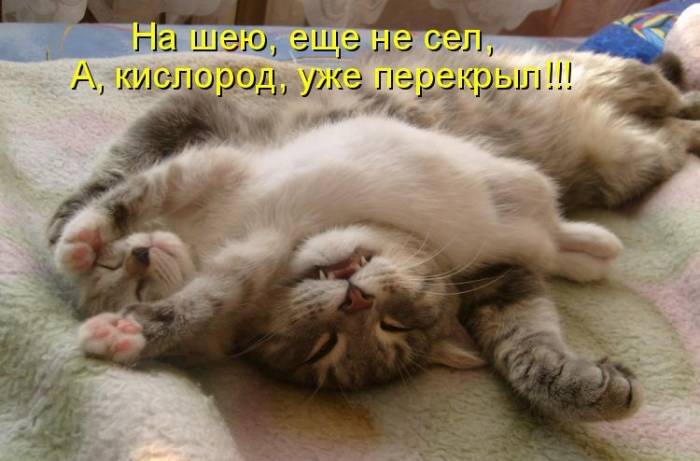 Картинки с забавными надписями