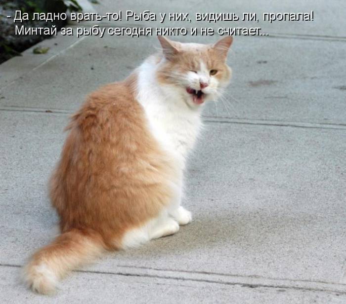 Картинки с забавными надписями