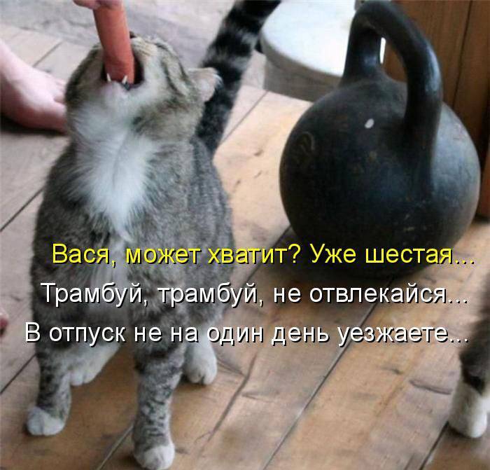 Классная котопятница