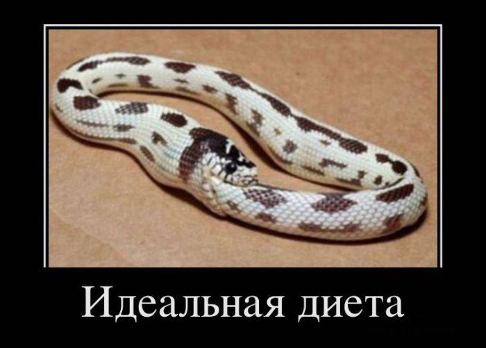Смешные демотиваторы